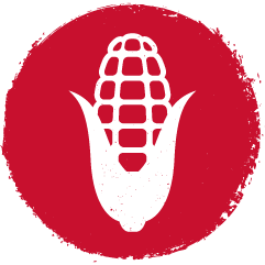 red corn and soybean icon